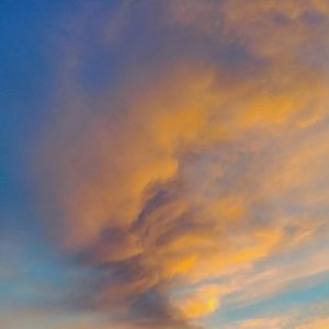 Meet your Posher, Annick